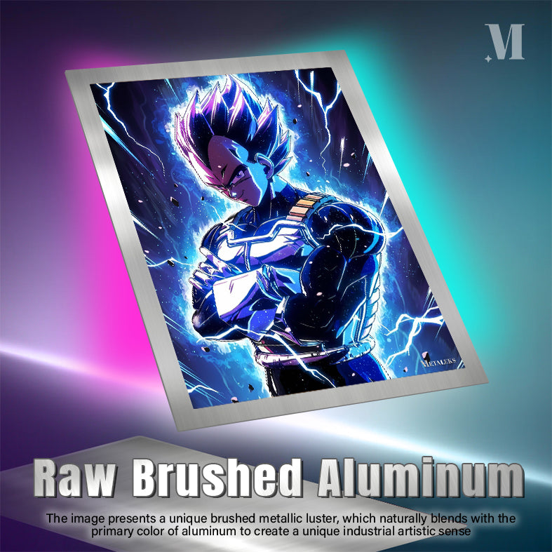 Vegeta Dragon Ball JC083025