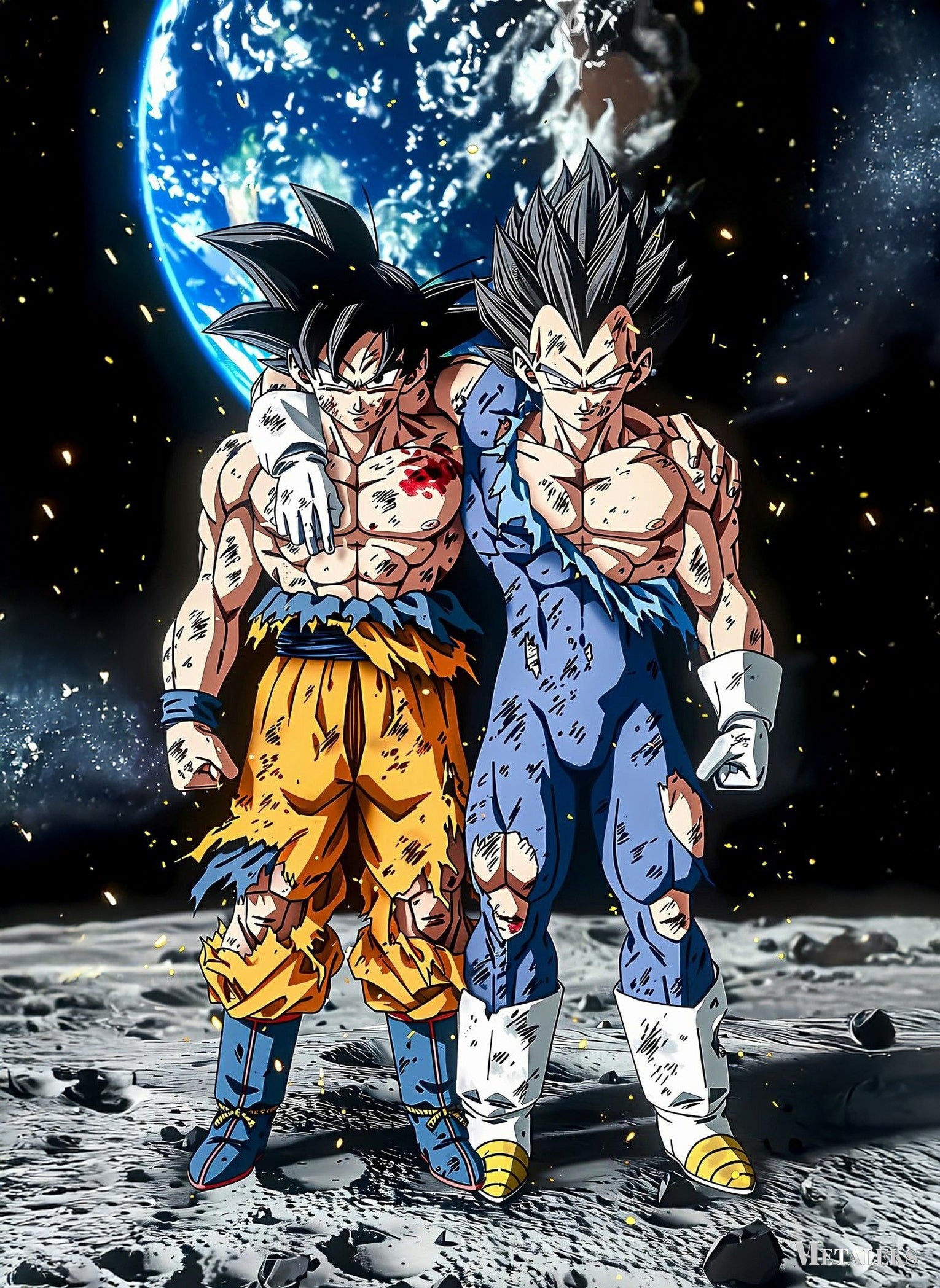 Goku Vegeta Dragon Ball A0726-25